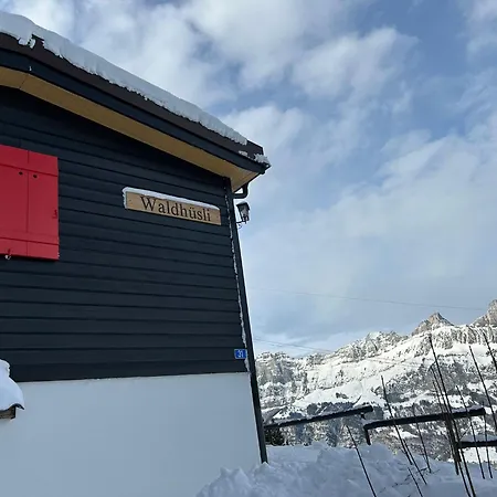 Domek alpejski Waldhuesli - Charmingstay